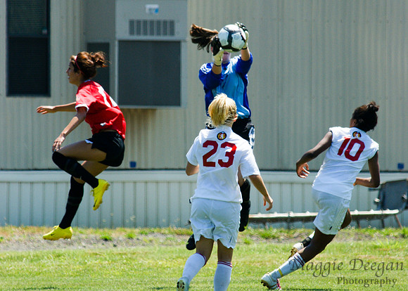 PDA Tournament 2010