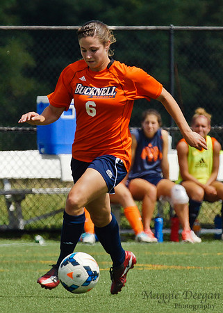 Mount St. Mary's University Bucknell University