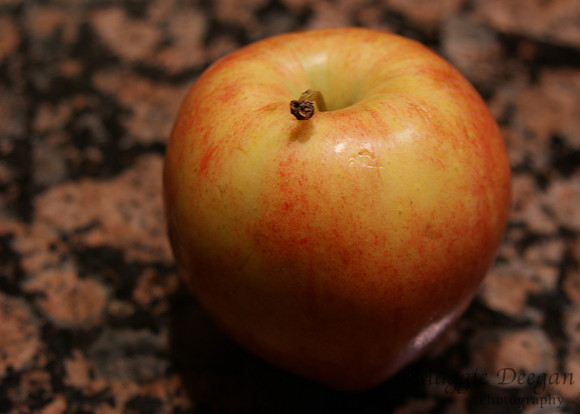 2009 Project 365