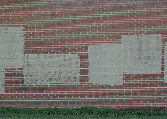 2009 Project 365