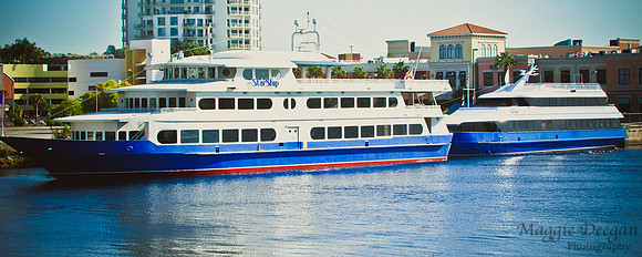 Travel 2010